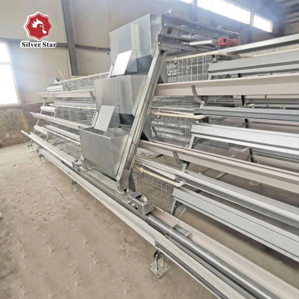Buy cheap Hot / Cold Dipped Galvanized battery cage chicken farming Wire Mesh from wholesalers