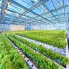 Buy cheap Acid Corrosion Resistant Q345B Frame Greenhouse Solar System from wholesalers