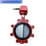 ODM EPDM Seated Carbon Steel Body Semi-Lug Butterfly Valve for Water Heater