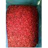 Buy cheap IQF Individually Quick Freezing Red Lingonberry For Jams & Jellies Making from wholesalers