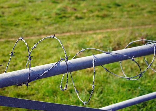 Buy cheap Rust Resistance Single Strand Galvanized Steel Barbed Wire Fence Construction Protection from wholesalers