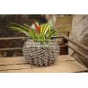 Buy cheap home dicorative wicker garden baskets willow flower plant baskets manufacture from wholesalers