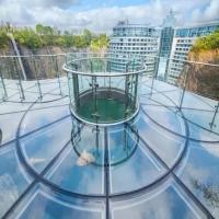 Buy cheap Laminated Glass Floor Walkway CCC Approval Glass Stair Way Customized product