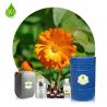 Buy cheap 100% Pure Natural Organic Calendula Essential Oil Marigold Oil from wholesalers