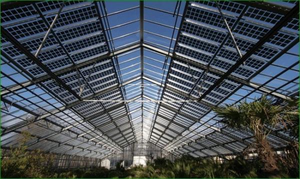 Buy cheap Thermal Insulation Commercial Photovoltaic Greenhouses Customization Option Offered from wholesalers