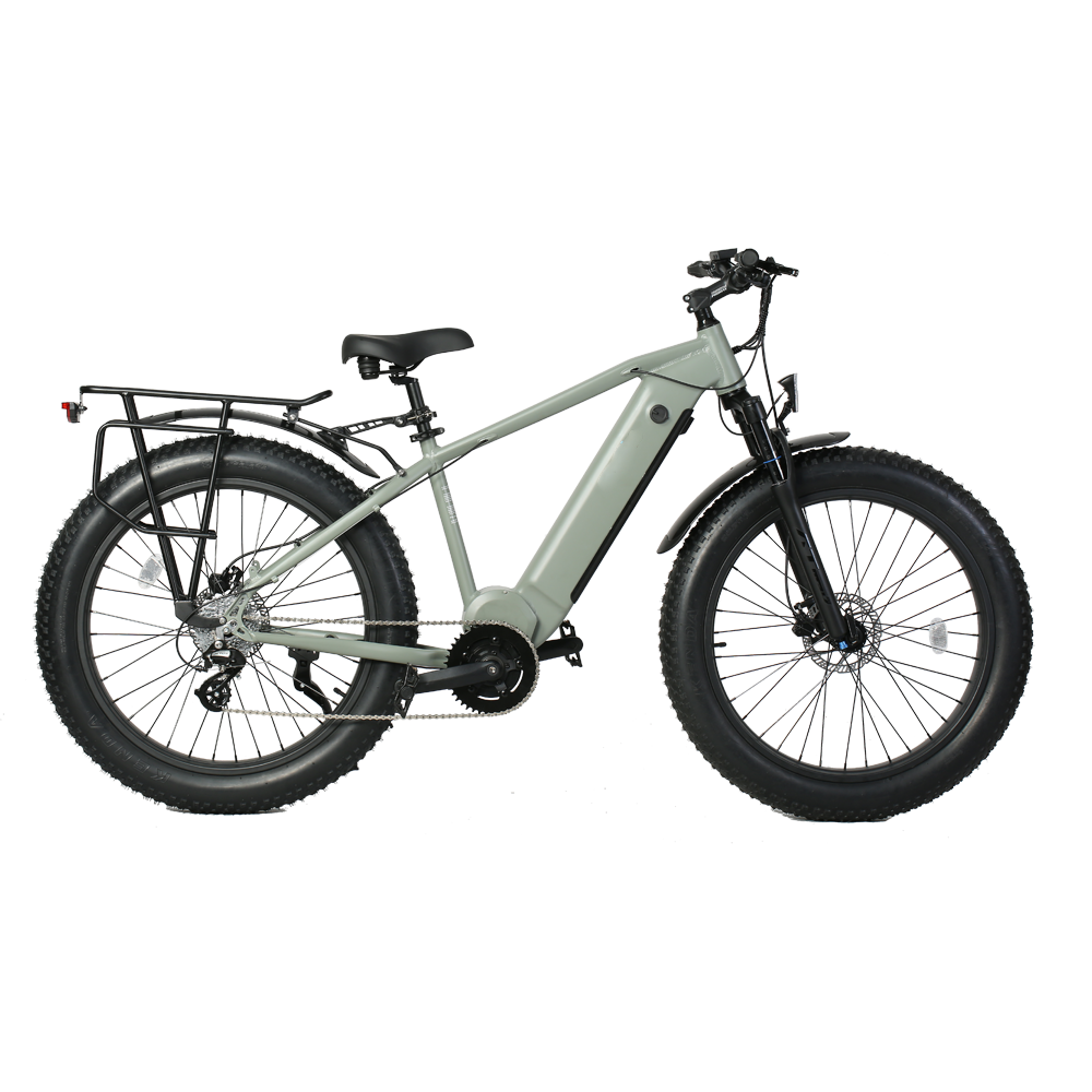 48V 15Ah Fat Tire Electric Bike 26 Inch Tektro HD-E350 Disc Brake Shimano 8 Speed Ebike