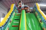 Amusement Park Toddler Inflatable Slide , Paw Patrol Theme Blow Up Slide