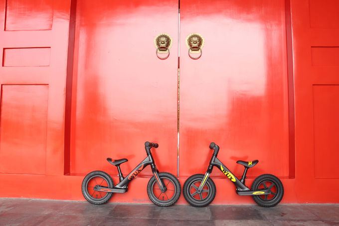 Alloy Frame Lightweight Childrens Bikes OEM With Plastic Wheels