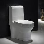 ADA One Piece Elongated Toilet Porcelain Water Closet White Europe Style Ceramic