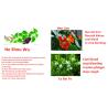 Buy cheap hair treatment Hair Growth Essence anti hair Loss Liquid dense unix hair conditioner Serum from wholesalers