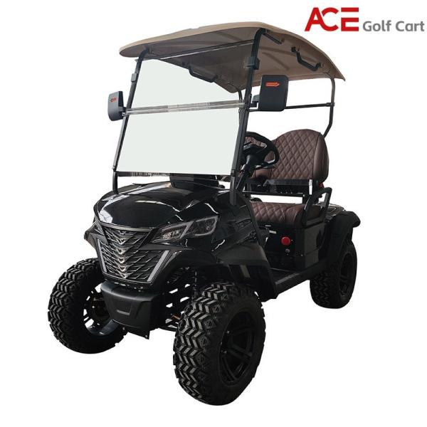 Quality Four Wheel Disc Brakes Golf Cart Buggy 40km/H Max Speed Artificial Leather Seats for sale