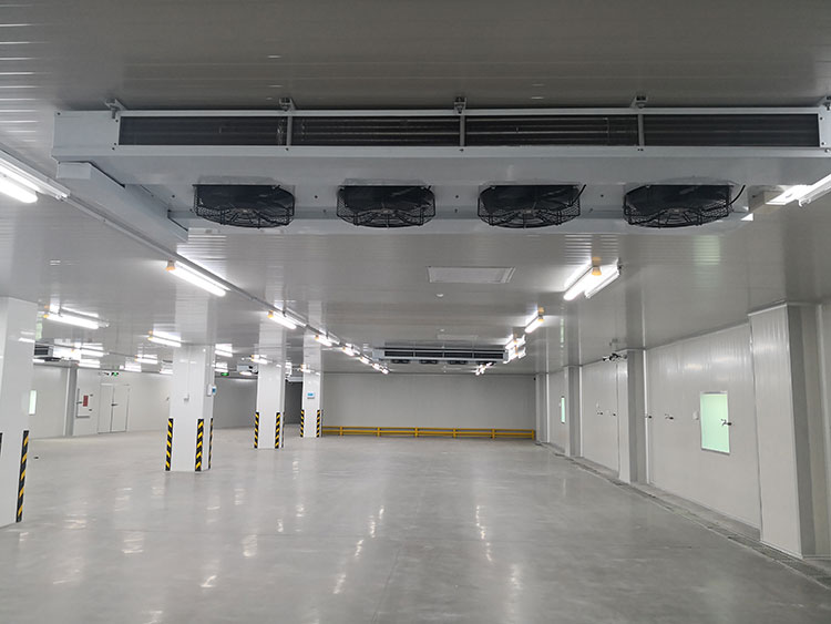 800ton Walk In Cold Chamber Freezer Cold Room For Chicken Beef Meat