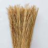 Buy cheap Commercial Dustless 30.5x14x5cm Corn Whisk Broom For Desks Computer Keyboard from wholesalers