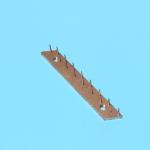 Bruckner Fabric Finishing Machine Parts Stenter Pin Bar Pin Plate 0.99*13 Carbon