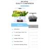 Buy cheap Home Hydroponic Pots For Houseplants With Intelligent Circulating Water Pump And Watering from wholesalers
