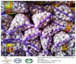 Garlic to Philippines with mesh bag