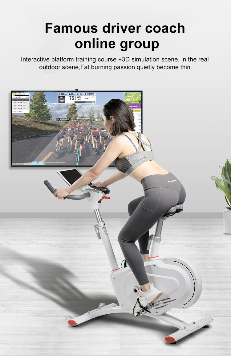 Get In Shape At Home Noiseless Indoor Gym Exercise Spinning Bike With Max Torque 32N
