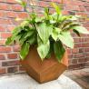 Buy cheap Outdoor Garden Metal Planter Boxes Corten Steel Pentagonal Flowers Planters from wholesalers