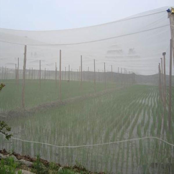 Buy cheap 40 Mesh 100% HDPE Insect Mesh Netting Non Toxic For Disease Prevention from wholesalers