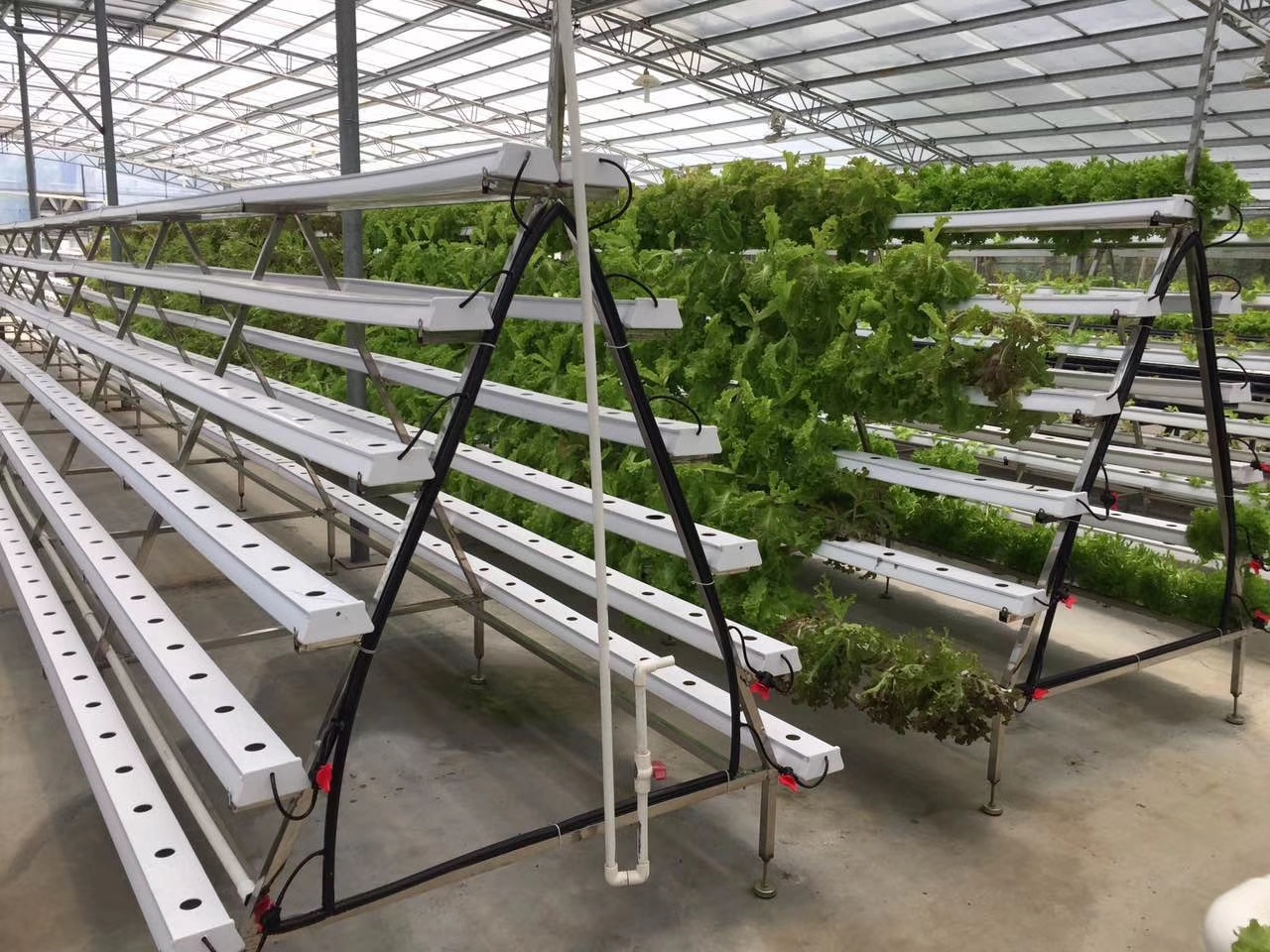2 Meters PVC Pipe Hydroponic Channel for Growing Vegetables and Fruits in Greenhouses