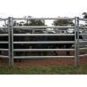 Buy cheap 6 Bar Demountable Horse Round Yard Panels Security Portable Round Pen from wholesalers