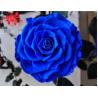 Buy cheap 10cm Preserved Flower Rose with Stem Long 30cm Real natural fresh roses from wholesalers