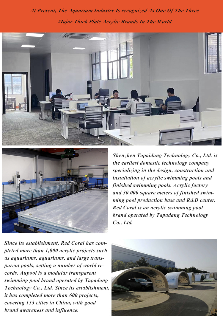 Indoor Customized Swimming Pools with High Purity Acrylic Plexiglass Sheet
