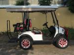 Customized Golf Carts Lead Acid Battery Operated Off Road Street Legal Electric