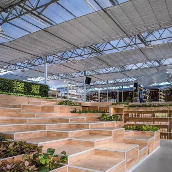 Roofing Shape a Type Roof Hydroponic Glass Greenhouse for Large Vegetable