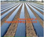 agricultural biodegradable perforated Mulch film,Holes Mulch Film for agricultur
