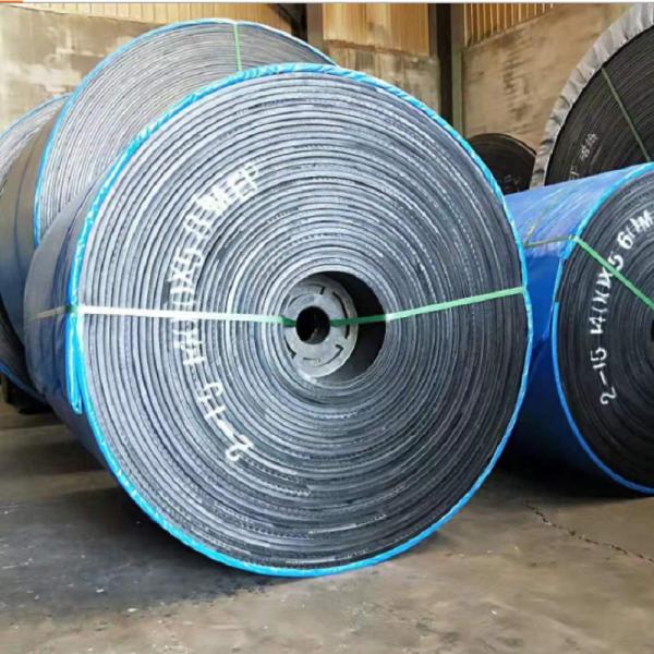 Quality Heat Resistant Special Conveyor Belts ST1600 for sale