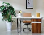 Metal Frame Bookroom Furniture / Bedroom Desk With Three Drawers