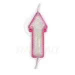 Arrow White Blue Green Red Pink Yellow 120 Deg Viewing Angle 12V LED Module