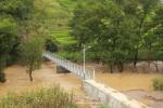 Walkway bridge/ pedestrian bridgesidewalk/ steel pedestrian bridge/ Meeting ASTM