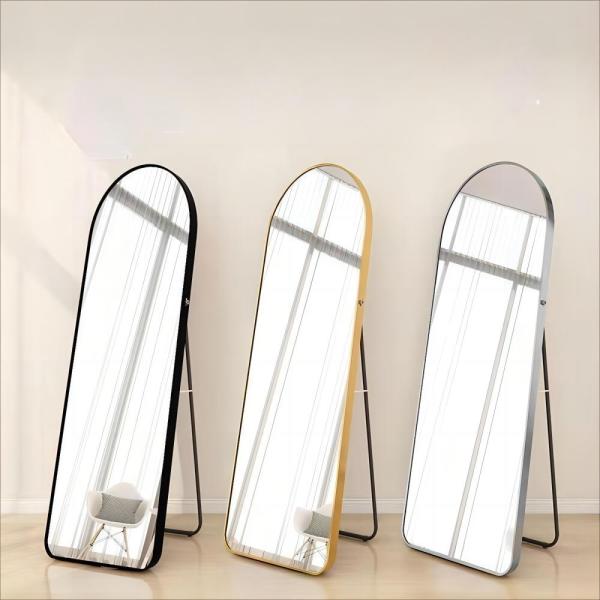 Contemporary Metal Home Decor Full Length Floor Mirror with Beveled Glass and Light