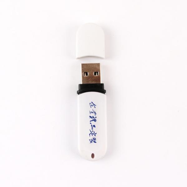 Metal/Plastic 16GB/32GB/64GB USB Flash Drive with USB 2.0 And USB 3.0 3.1 3.2