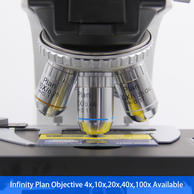 Trinocular Fluorescence Light Microscope With Mercury Bulb A16.2603-L