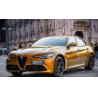 Buy cheap Durable Heatproof Orange Red Car Paint , Odorless Metallic Spray Paint For Cars from wholesalers