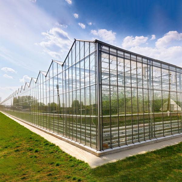 Buy cheap Automated Plant Hydroponics Glass Wall Greenhouse For Tomato Strawberry from wholesalers
