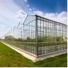Buy cheap Automated Plant Hydroponics Glass Wall Greenhouse For Tomato Strawberry from wholesalers