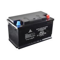Buy cheap ISO 12v 50ah Lifepo4 Battery Bms System And Cell Equalizer Inside Lithium product