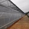 Buy cheap Film Cover Material Agriculture Multi Span Greenhouse with Galvanized Steel Pipe Tube from wholesalers