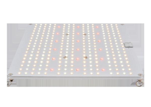 Buy cheap 450nm 288pcs Chips Full Spectrum LED Grow Lights from wholesalers