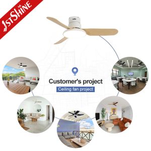 Buy cheap Flush Mounted Ceiling Fan With Light Remote Dimmable Led Light from wholesalers