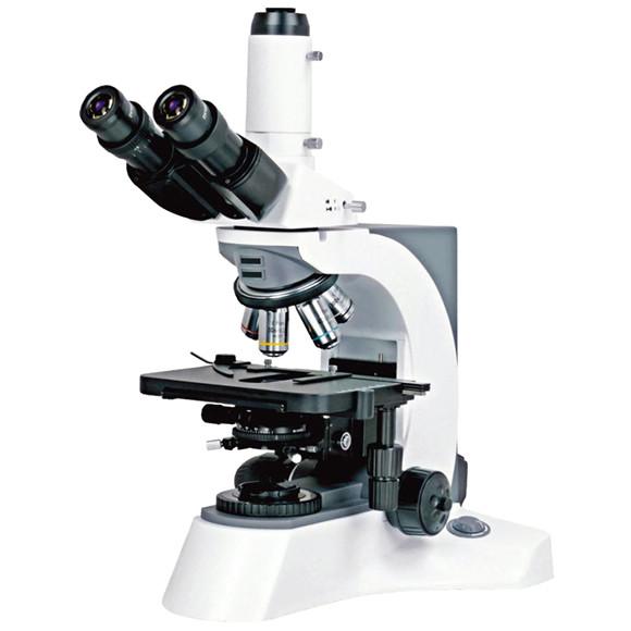 Buy cheap Student Compound Optical Microscope from wholesalers