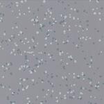 Relle Rubber Flooring Slip-Resistant and Shock-Absorbent for Safety and