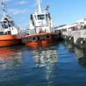 Buy cheap Marine Dock Cylindrical Rubber Fenders Bumper PIANC2002 from wholesalers