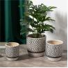 Buy cheap China suppliers bulk concise design indoor outdoor decorative flower planter pot embossed ceramic plant pots from wholesalers