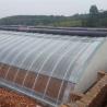 Buy cheap Arched Roof Greenhouse The Ultimate Sunlight Solution for Tomato and Cucumber Farming from wholesalers