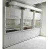 Buy cheap Multifunctional Chemical Vent Hood For Hospital And School Laboratory from wholesalers